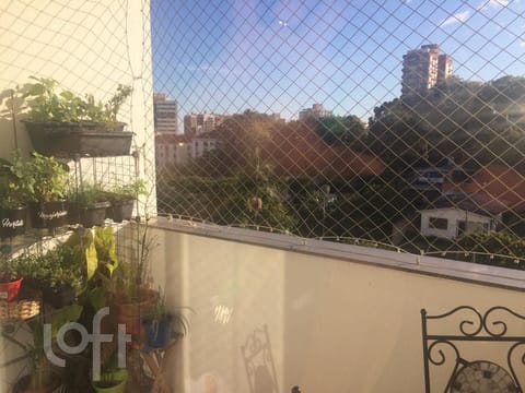 Image 5 - 249274